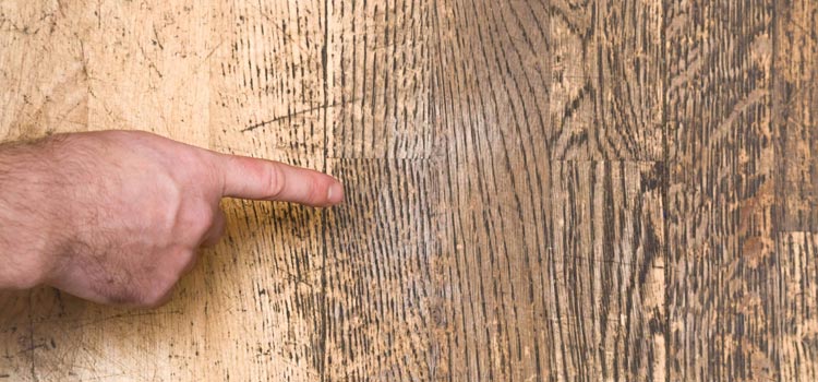 Wood Door Scratch Repair in Cupertino